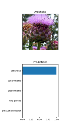 Flower with prediction