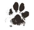 Paw prints