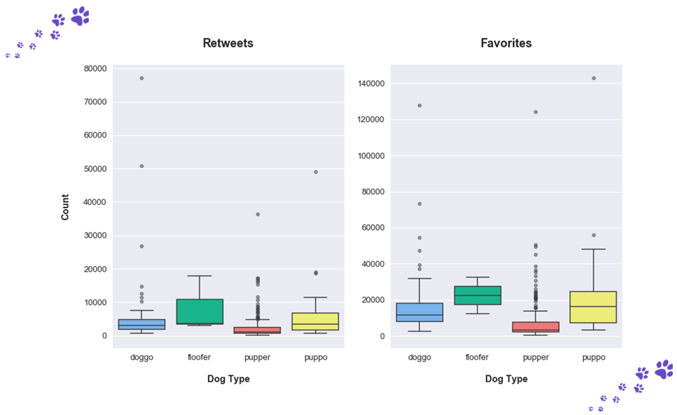 Dog type boxplot chart