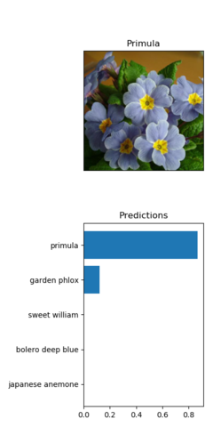 Flower with prediction