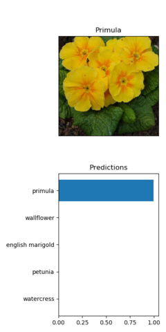 Flower with prediction