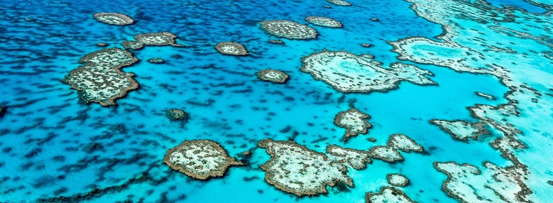 Aerial reef shot