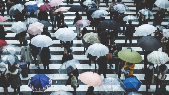 Umbrellas on crosswalk